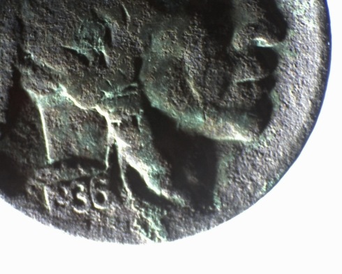 detail of Buffalo Nickel