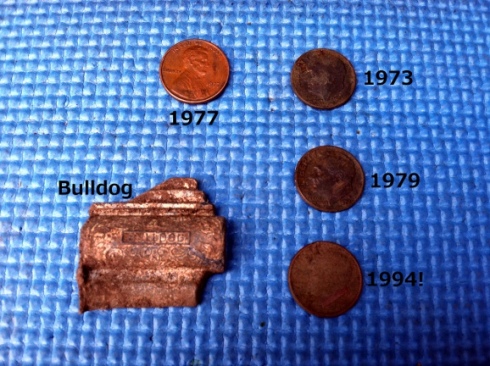 various coins