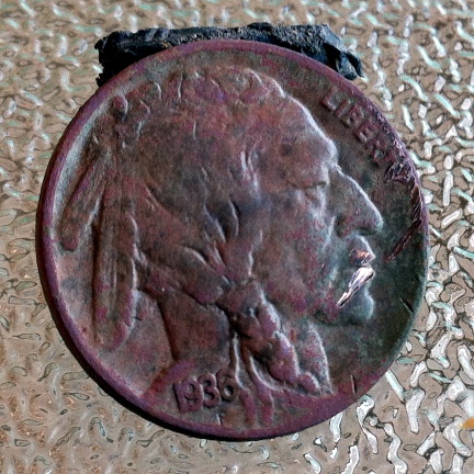 1936 Buffalo nickel obverse